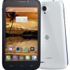 Lava Brings Jelly Bean Upgrade for Iris 501, But No OTA